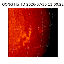 gong - 2026-07-30T11:00:22