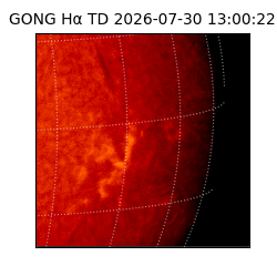 gong - 2026-07-30T13:00:22