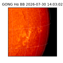 gong - 2026-07-30T14:03:02