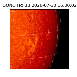 gong - 2026-07-30T16:00:02