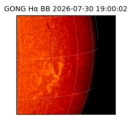 gong - 2026-07-30T19:00:02