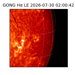 gong - 2026-07-30T02:00:42