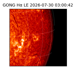 gong - 2026-07-30T03:00:42