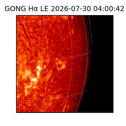 gong - 2026-07-30T04:00:42