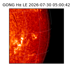 gong - 2026-07-30T05:00:42