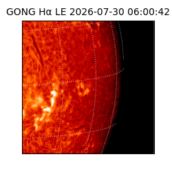 gong - 2026-07-30T06:00:42