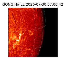 gong - 2026-07-30T07:00:42