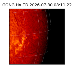 gong - 2026-07-30T08:11:22