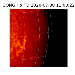 gong - 2026-07-30T11:00:22