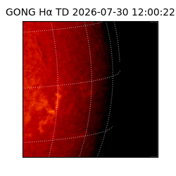 gong - 2026-07-30T12:00:22