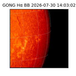 gong - 2026-07-30T14:03:02