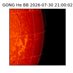 gong - 2026-07-30T21:00:02
