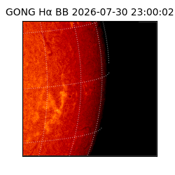gong - 2026-07-30T23:00:02