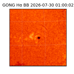 gong - 2026-07-30T01:00:02