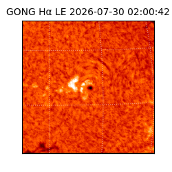 gong - 2026-07-30T02:00:42