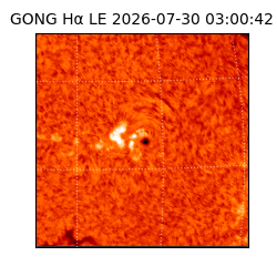 gong - 2026-07-30T03:00:42