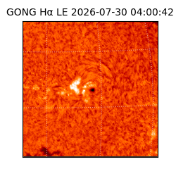 gong - 2026-07-30T04:00:42