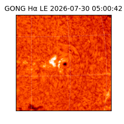 gong - 2026-07-30T05:00:42