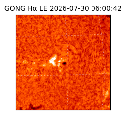 gong - 2026-07-30T06:00:42