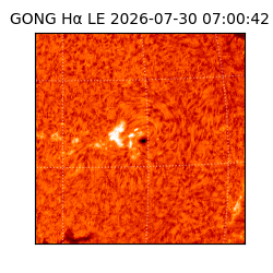 gong - 2026-07-30T07:00:42