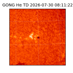 gong - 2026-07-30T08:11:22