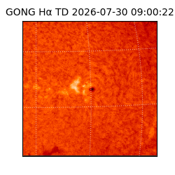 gong - 2026-07-30T09:00:22