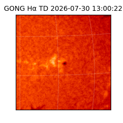gong - 2026-07-30T13:00:22