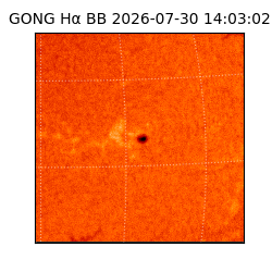 gong - 2026-07-30T14:03:02
