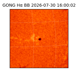 gong - 2026-07-30T16:00:02