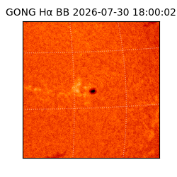 gong - 2026-07-30T18:00:02