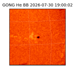 gong - 2026-07-30T19:00:02