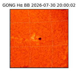 gong - 2026-07-30T20:00:02