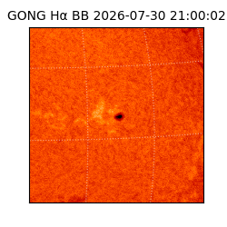 gong - 2026-07-30T21:00:02