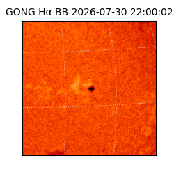 gong - 2026-07-30T22:00:02