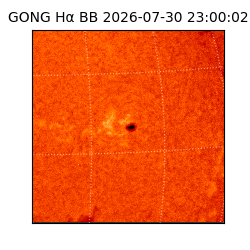 gong - 2026-07-30T23:00:02