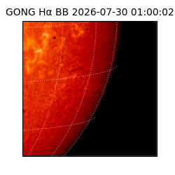 gong - 2026-07-30T01:00:02