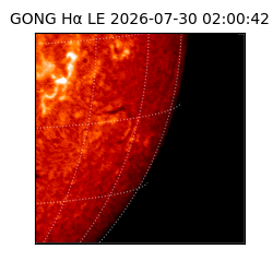 gong - 2026-07-30T02:00:42