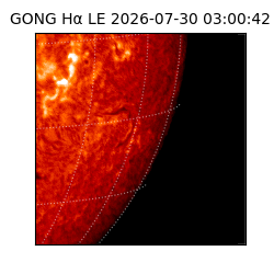 gong - 2026-07-30T03:00:42