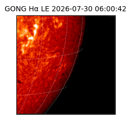 gong - 2026-07-30T06:00:42
