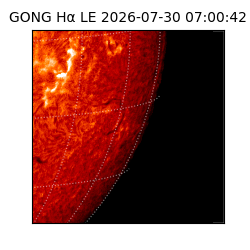 gong - 2026-07-30T07:00:42