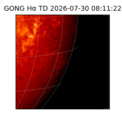 gong - 2026-07-30T08:11:22