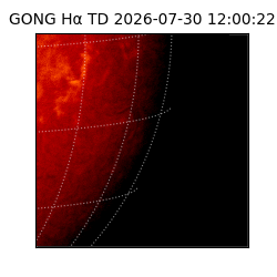 gong - 2026-07-30T12:00:22