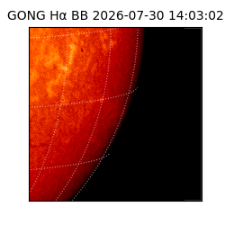 gong - 2026-07-30T14:03:02