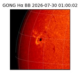 gong - 2026-07-30T01:00:02