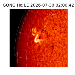 gong - 2026-07-30T02:00:42