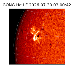 gong - 2026-07-30T03:00:42