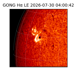gong - 2026-07-30T04:00:42