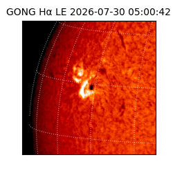 gong - 2026-07-30T05:00:42