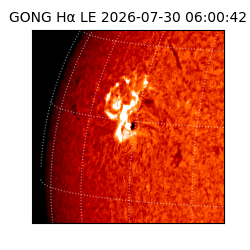 gong - 2026-07-30T06:00:42