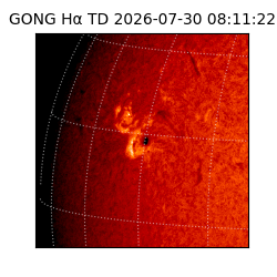 gong - 2026-07-30T08:11:22